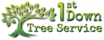 First Down Tree Service Dickinson County Michigan